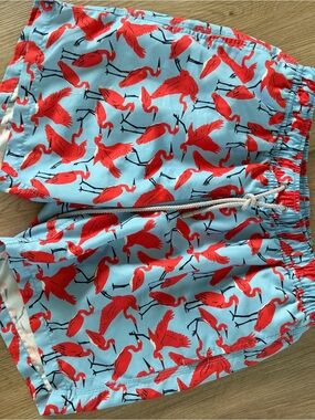 Men Blue mint Swim Shorts with Red Flamingo Print - Blue